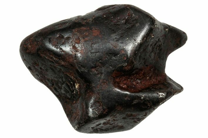 Canyon Diablo Iron Meteorite ( g) - Arizona #336001